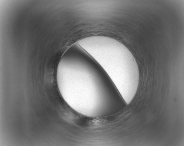 X0000065960323200603030936