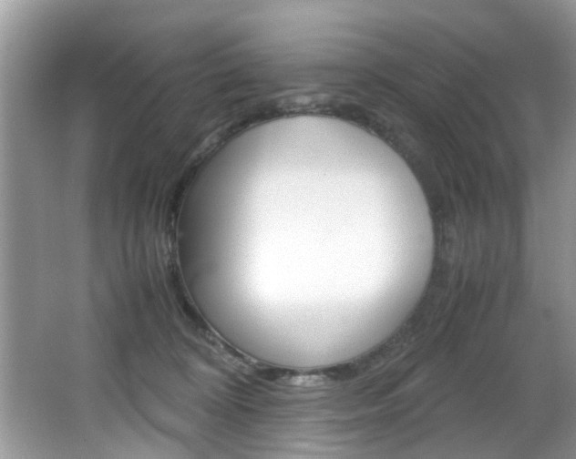 X0000065960324200603030936