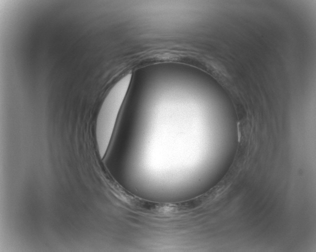 X0000065960325200603030935