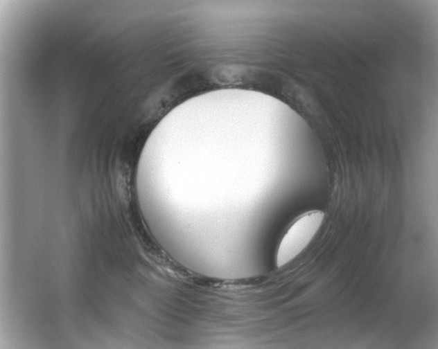 X0000065960332200603030935