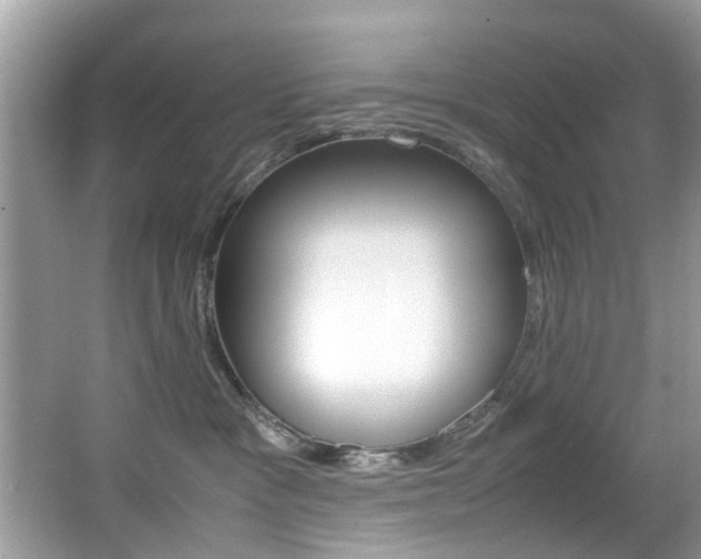 X0000065960333200603030935