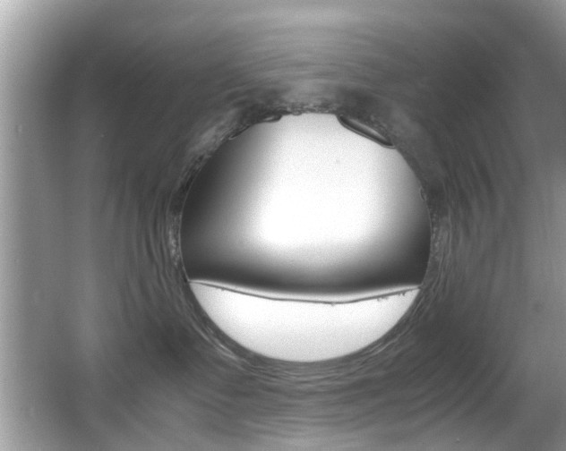 X0000065960335200603030935