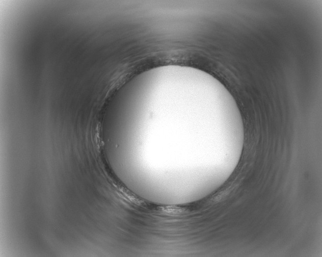 X0000065960336200603030935