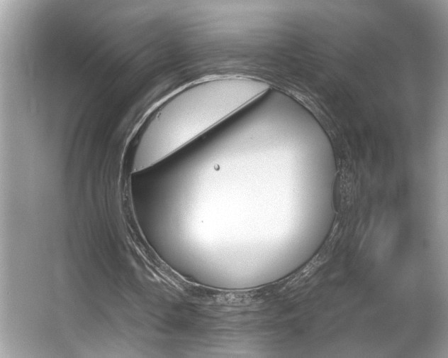X0000065960338200603030935