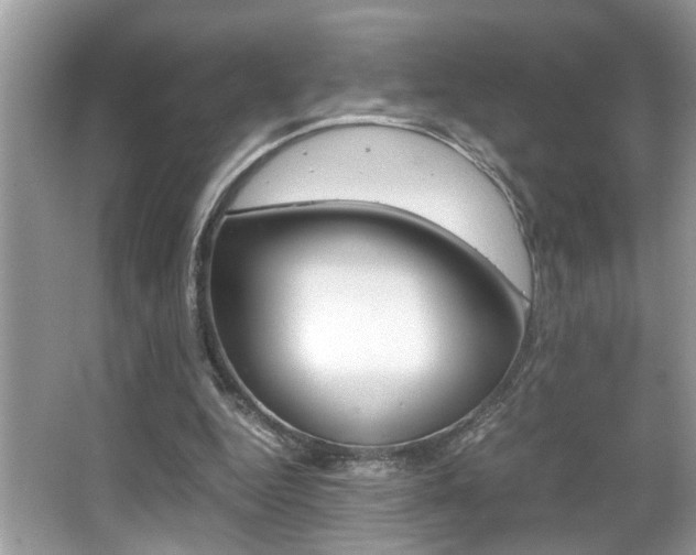 X0000065960344200603030935