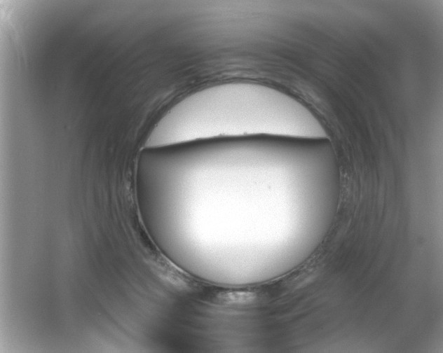 X0000065960361200603030935