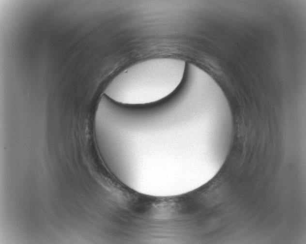 X0000065960362200603030935