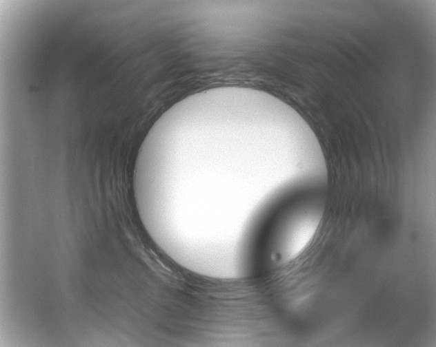 X0000065960380200603030935