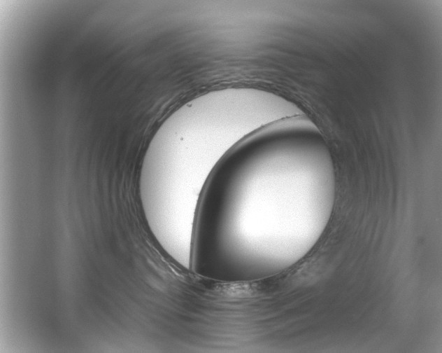 X0000065960384200603030935