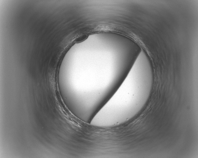 X0000065960386200603030934