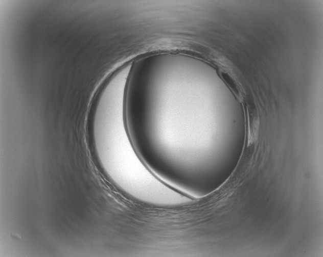 X0000065960387200603030934