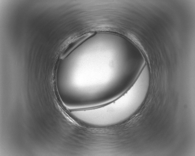 X0000065960389200603030934