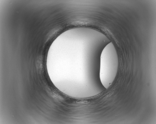 X0000065960396200603030934