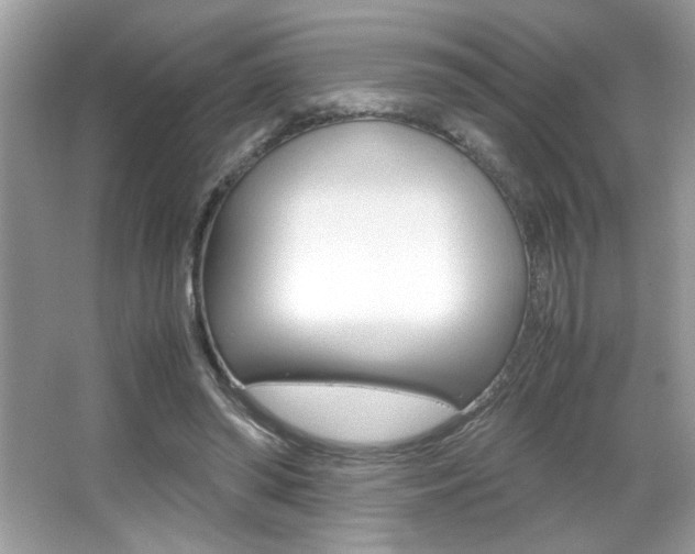 X0000065960398200603030934