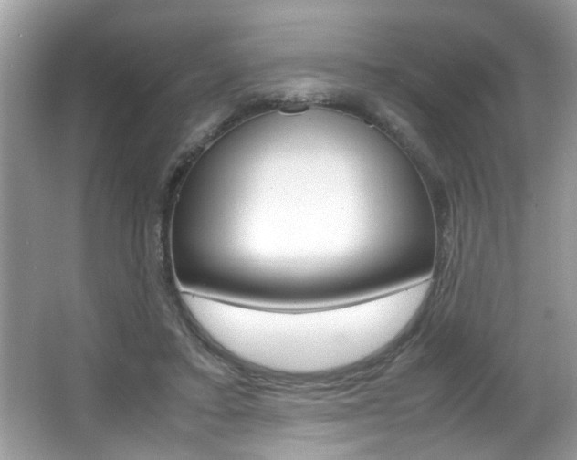 X0000065960403200603030934