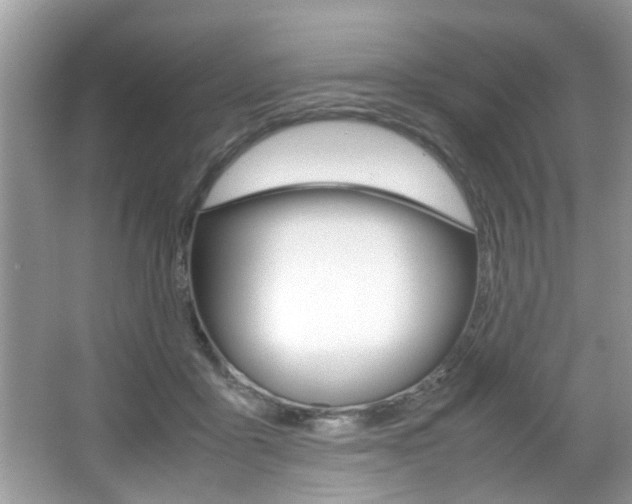 X0000065960411200603030934