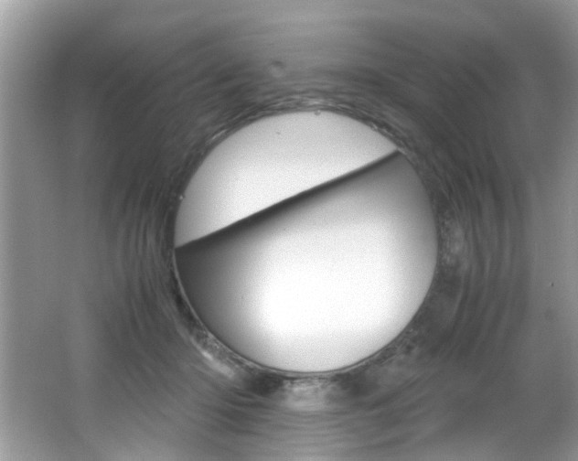 X0000065960414200603030934