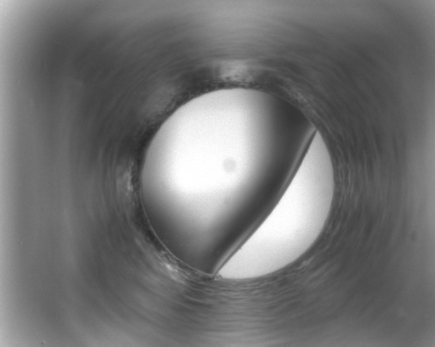 X0000065960424200603030934