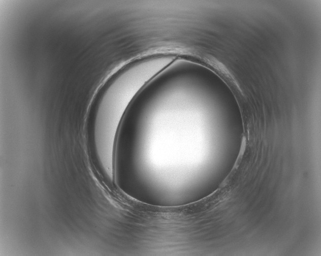 X0000065960436200603030933