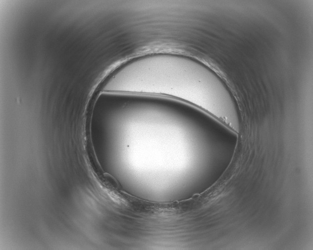 X0000065960438200603030933