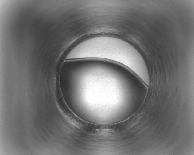 X0000065960448200603030933