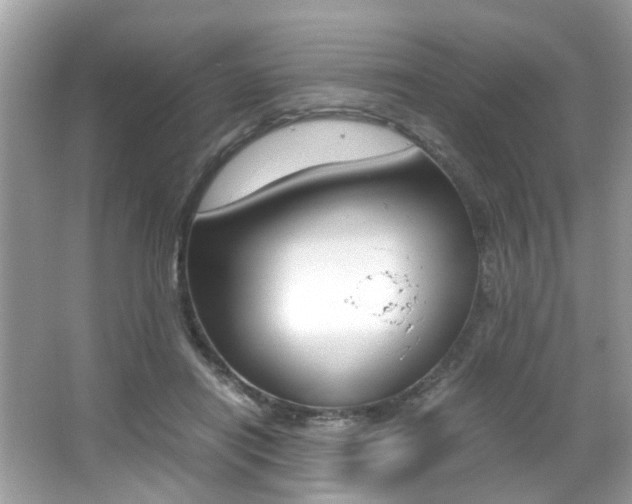 X0000065960454200603030933
