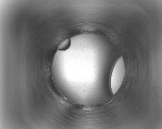 X0000065960464200603030933