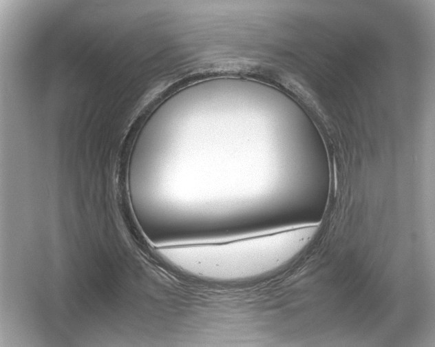 X0000065960483200603030933