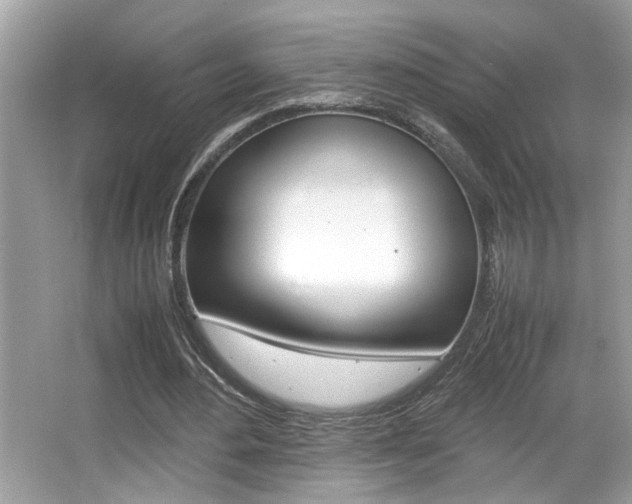 X0000065960484200603030933