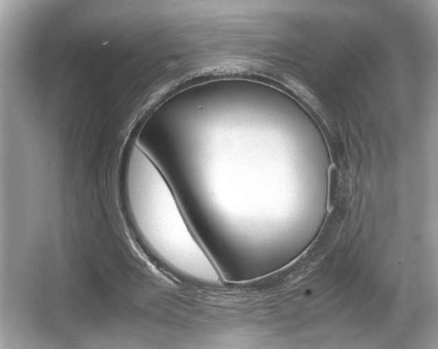 X0000065960485200603030933
