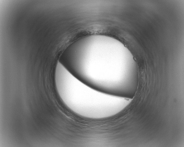 X0000065960499200603030933