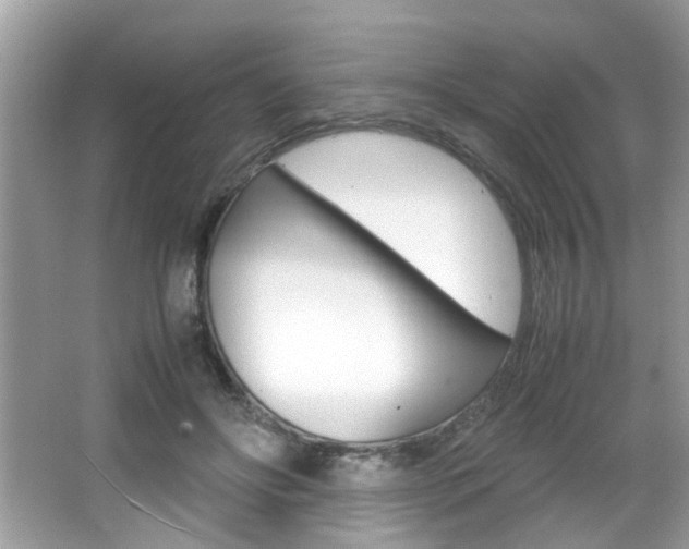 X0000065960502200603030933