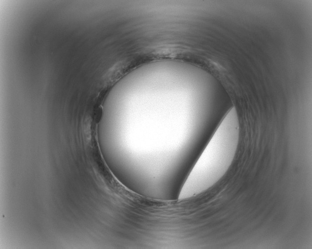 X0000065960504200603030932