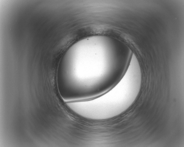 X0000065960505200603030932