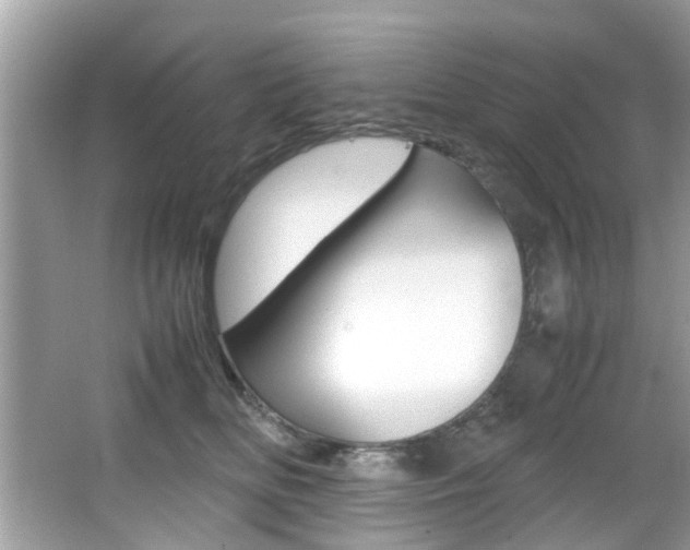 X0000065960518200603030932