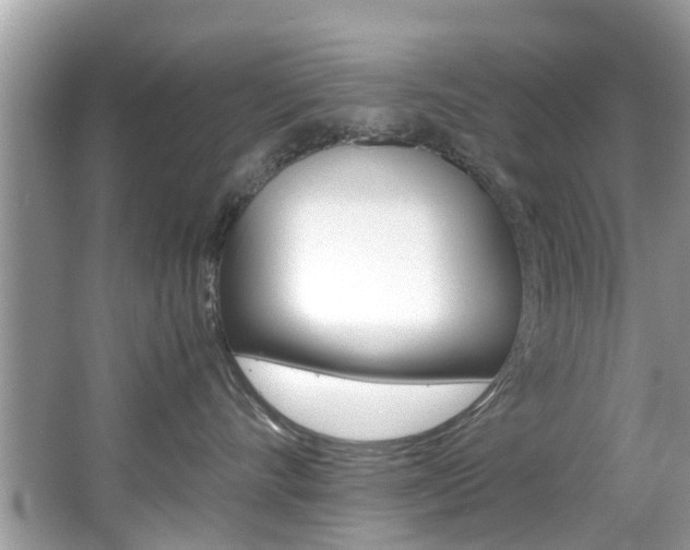 X0000065960528200603030932