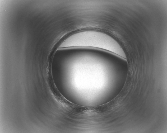 X0000065960544200603030932