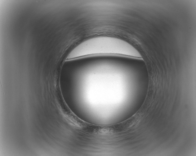 X0000065960546200603030932