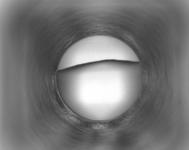 X0000065960549200603030932