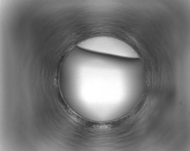 X0000065960553200603030932