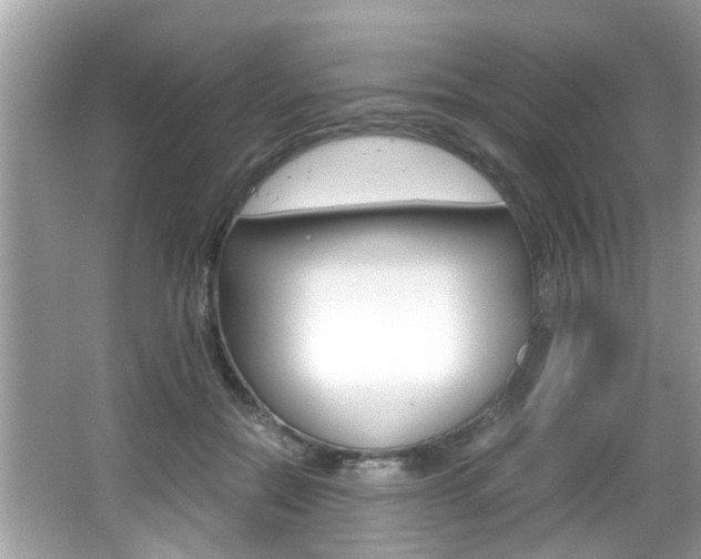 X0000065960554200603030932