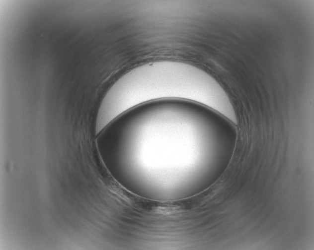 X0000065960556200603030932