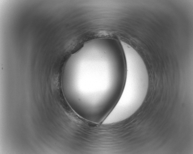 X0000065960560200603030932