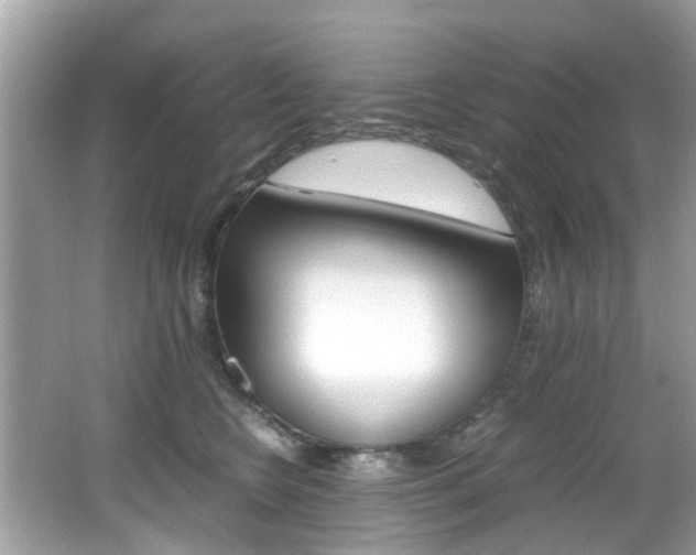 X0000065960566200603030932