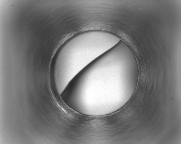X0000065960578200603030931