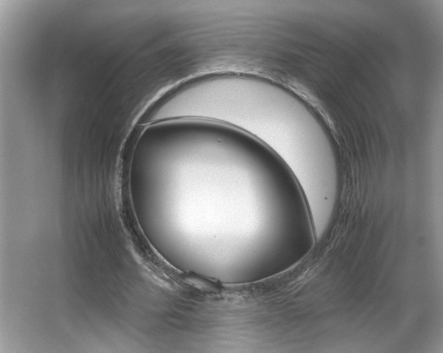 X0000065960580200603030931