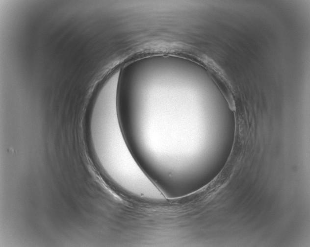 X0000065960581200603030931