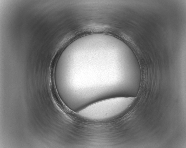 X0000065960582200603030931