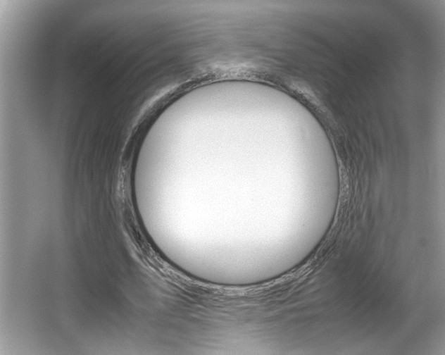 X0000065960583200603030931