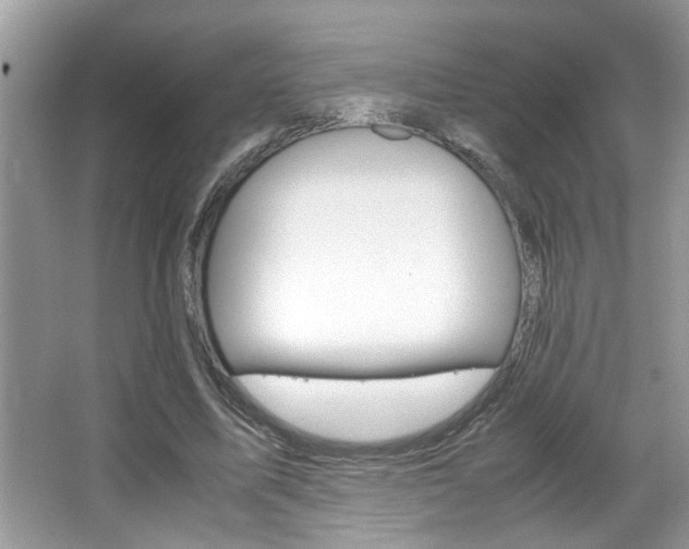 X0000065960587200603030931
